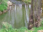 River Aisch