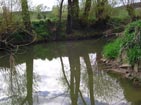 River Aisch