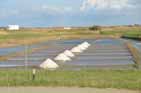 Salt production...