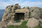 shelter