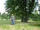 Antenna.