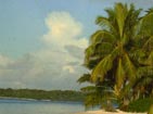 223DX/1 direct postcard front