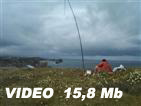 30DX/N126.