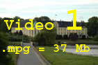 Video clip 1 (mpg).